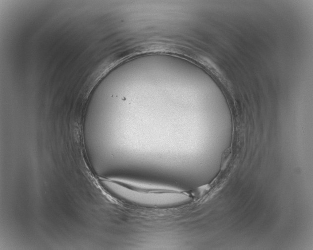 X0000064040993200602171639