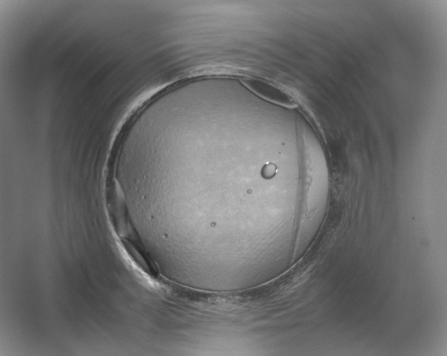 X0000064040995200602171639