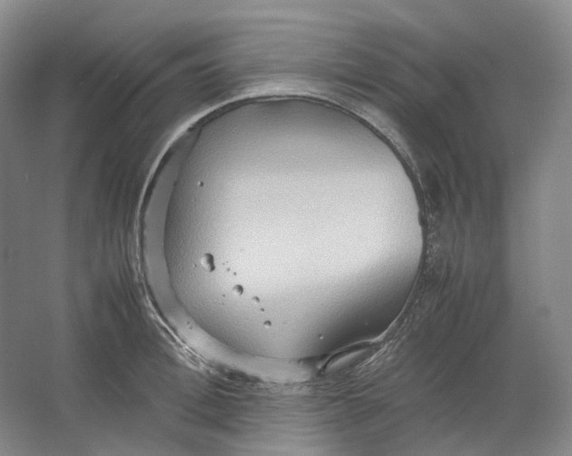 X0000064040996200602171639