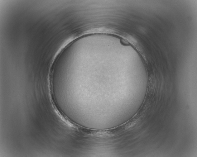 X0000064040998200602171639