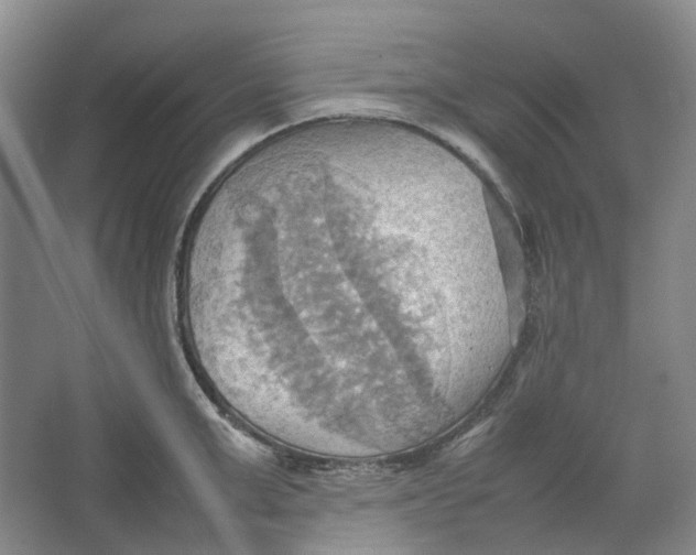 X0000064040999200602171639