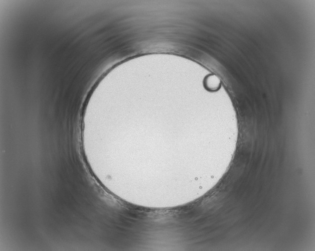 X0000064041000200602171639