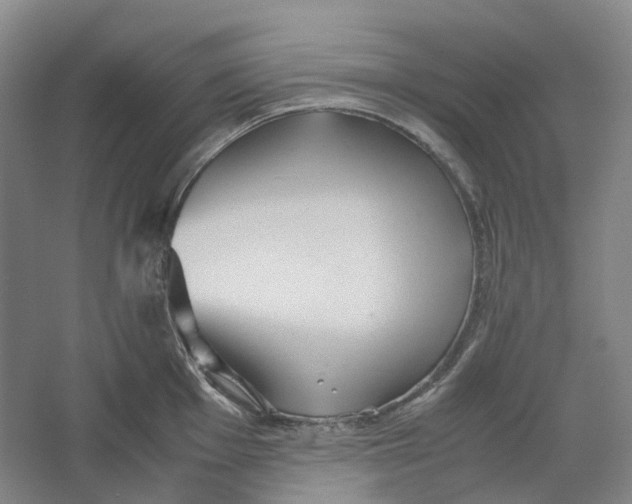 X0000064041001200602171639