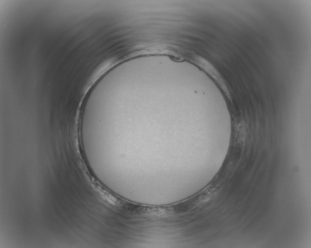 X0000064041002200602171639