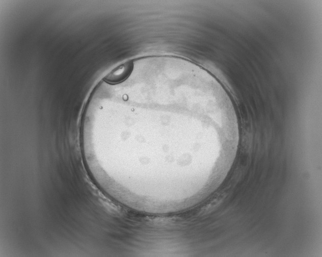 X0000064041004200602171639