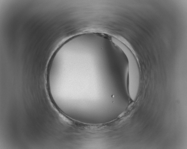 X0000064041005200602171639