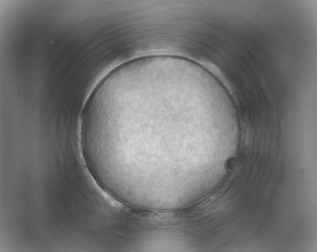 X0000064041006200602171639