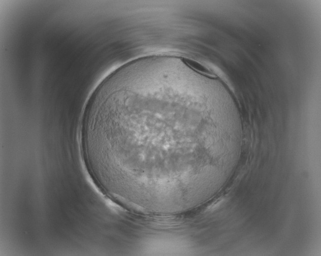 X0000064041007200602171639