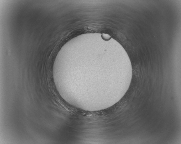 X0000064041009200602171638