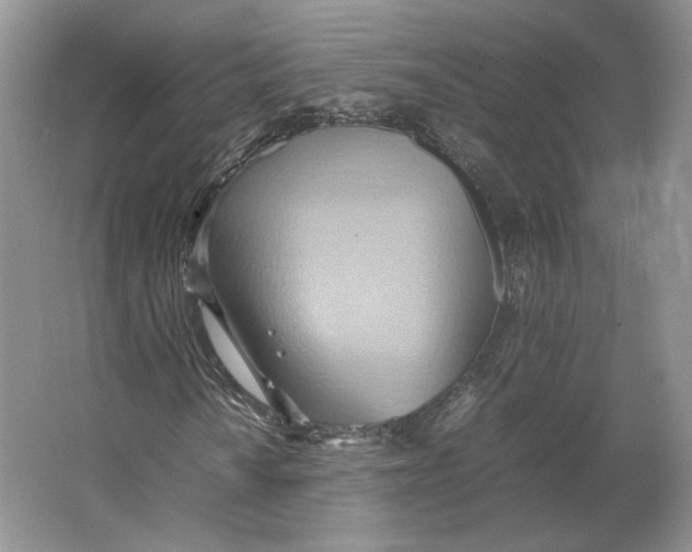 X0000064041010200602171638