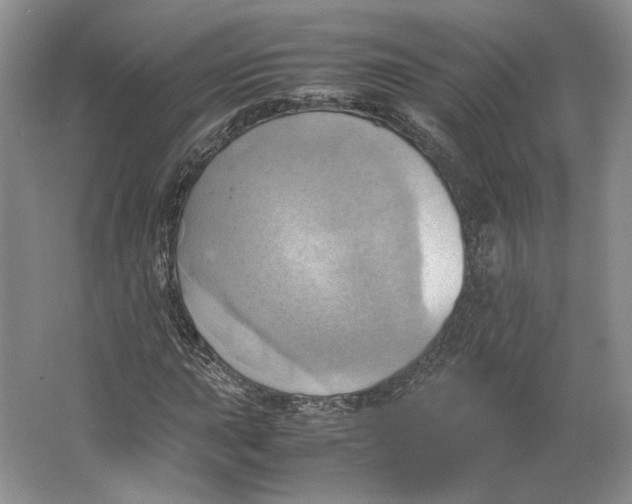 X0000064041015200602171638