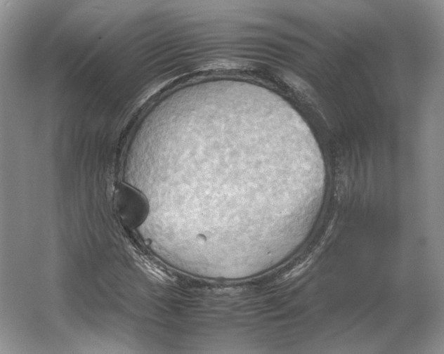 X0000064041017200602171638