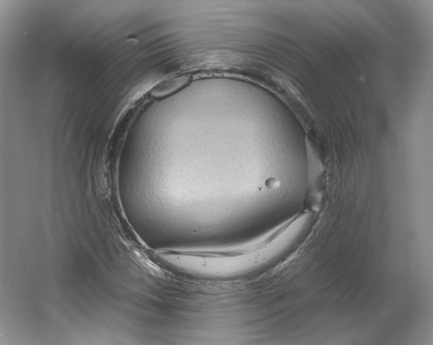 X0000064041018200602171638