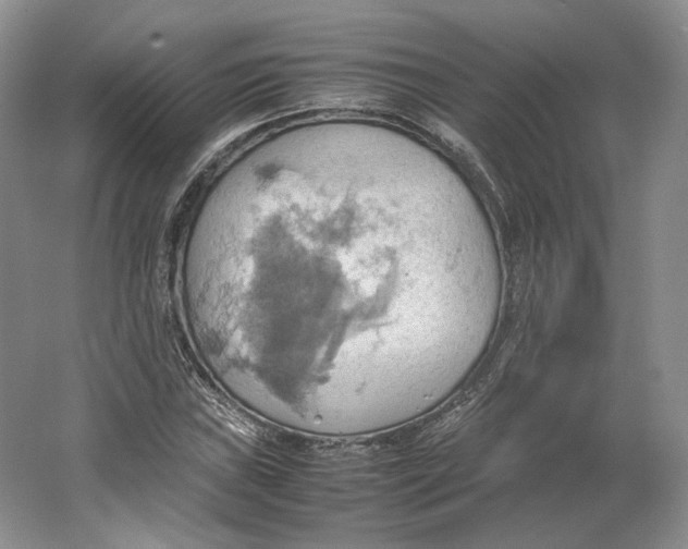 X0000064041019200602171638