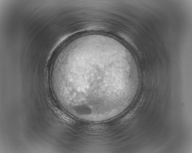 X0000064041021200602171639