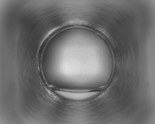 X0000064041022200602171639