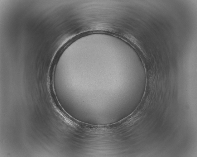 X0000064041024200602171639