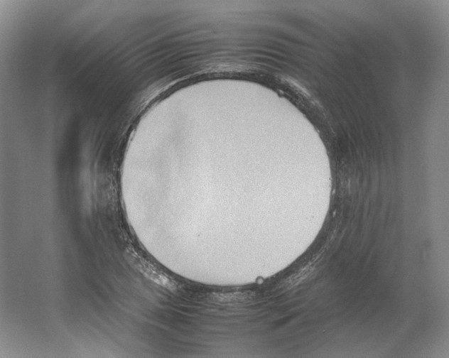 X0000064041025200602171639