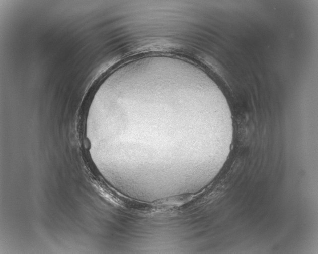 X0000064041026200602171639