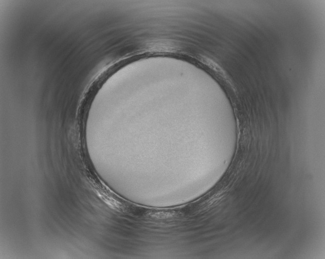 X0000064041027200602171639