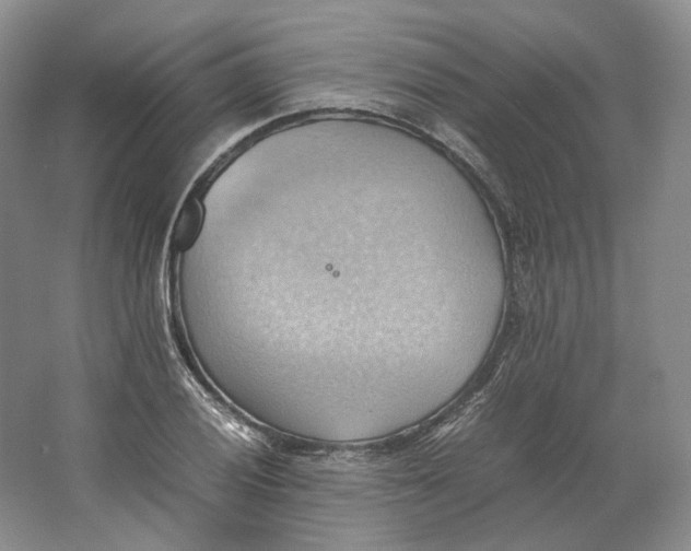 X0000064041028200602171639