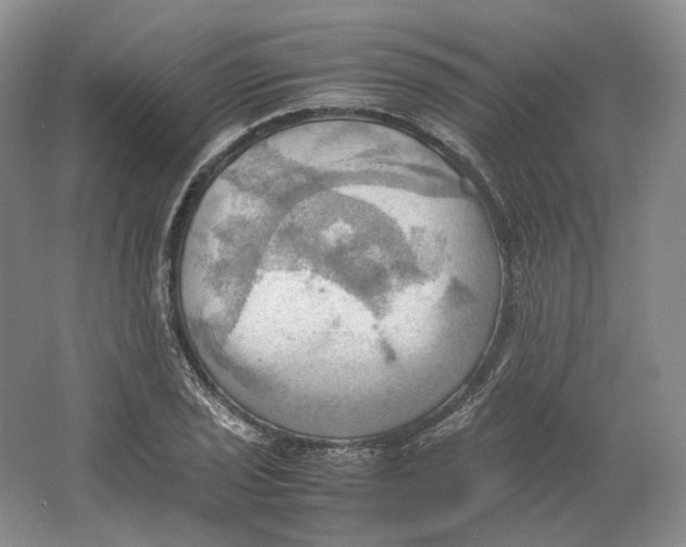 X0000064041029200602171639