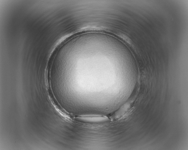 X0000064041030200602171639