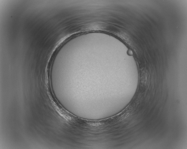 X0000064041031200602171639