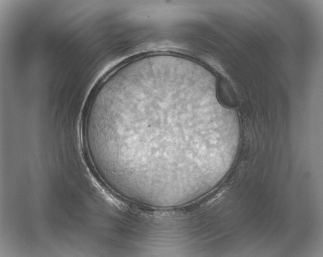 X0000064041032200602171639