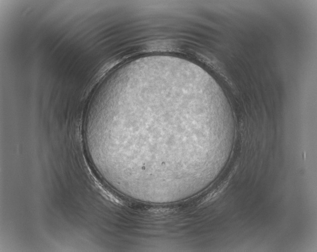 X0000064041033200602171639