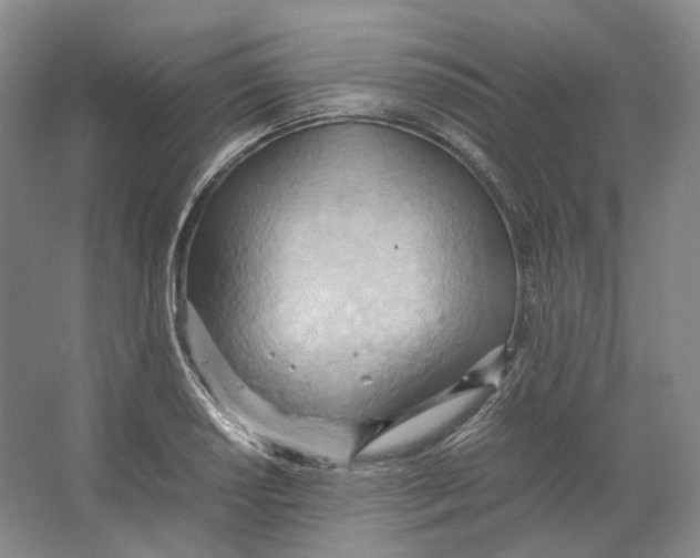 X0000064041034200602171639