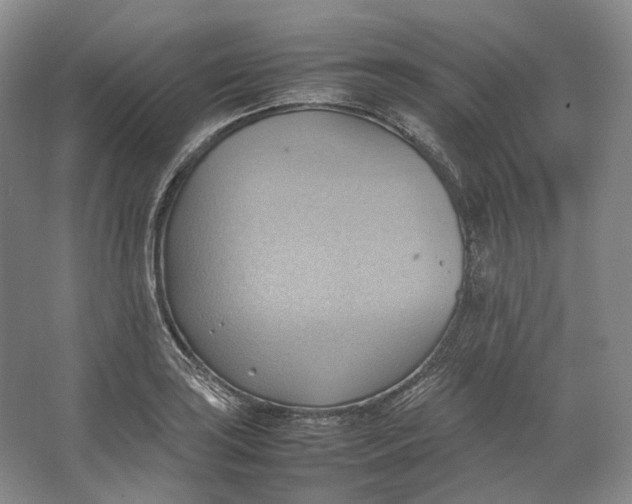 X0000064041035200602171639