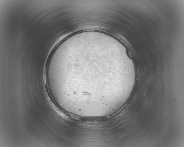 X0000064041036200602171639