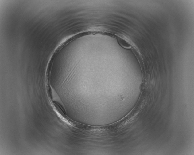 X0000064041037200602171639