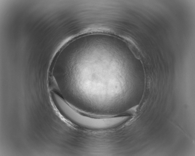 X0000064041038200602171639