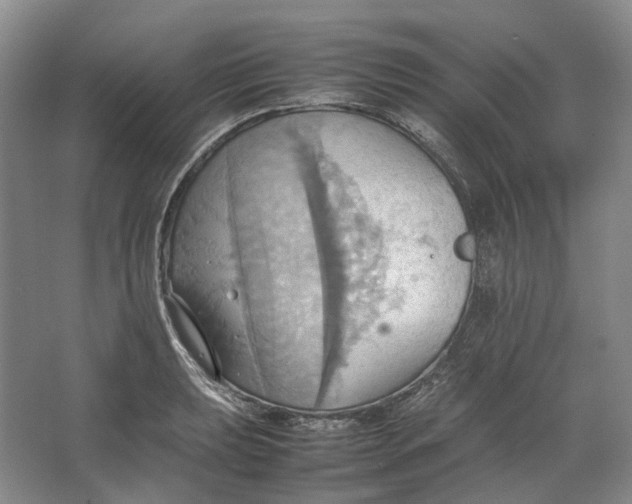 X0000064041039200602171639