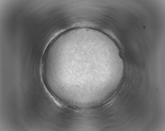 X0000064041040200602171639