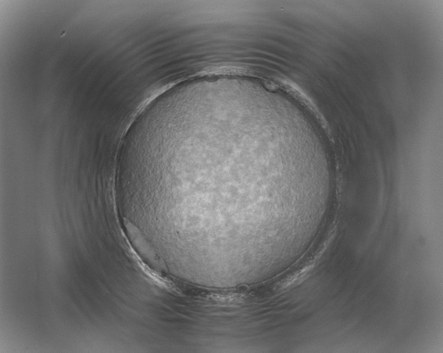 X0000064041041200602171639