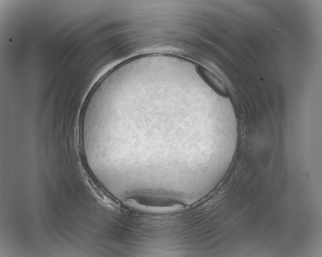 X0000064041044200602171639