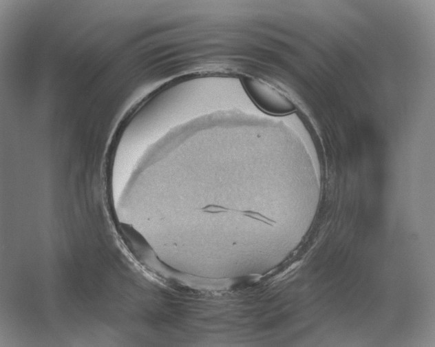 X0000064041045200602171639