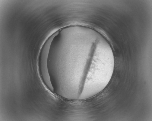 X0000064041048200602171639