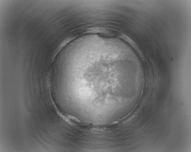 X0000064041049200602171639