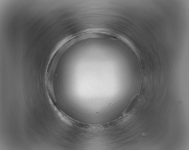 X0000064041050200602171639