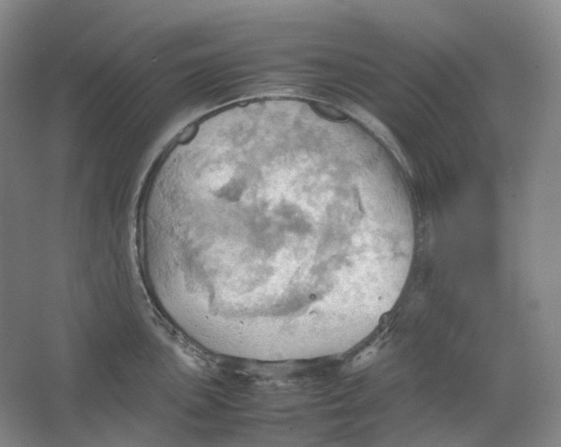 X0000064041051200602171639