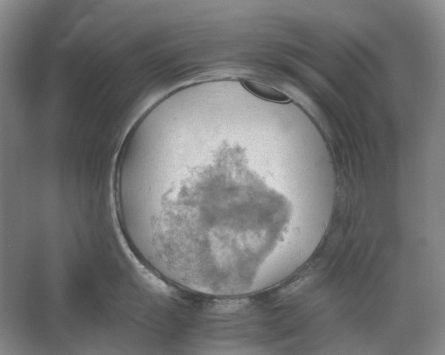 X0000064041055200602171639