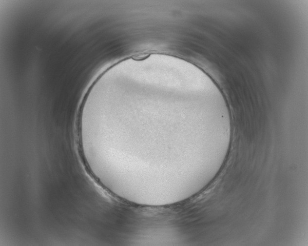 X0000064041056200602171639