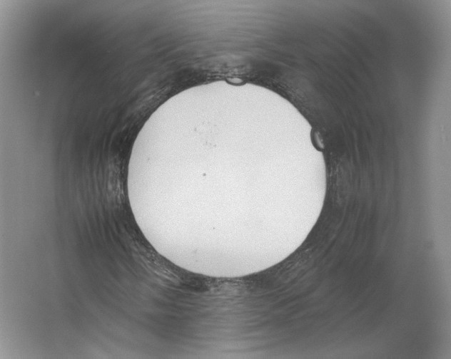 X0000064041058200602171638