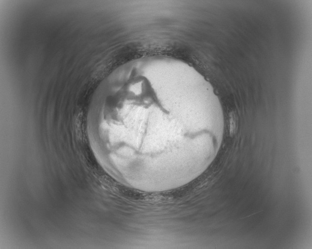 X0000064041059200602171638