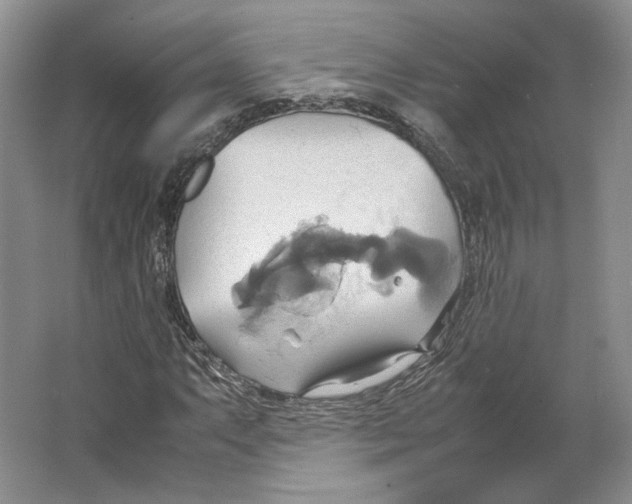 X0000064041063200602171638