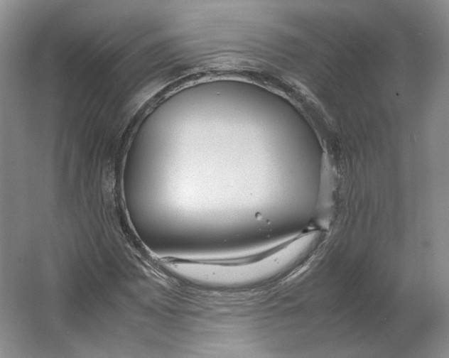 X0000064041065200602171638